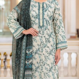 3 piece winter cotton dress with embroidered shirt